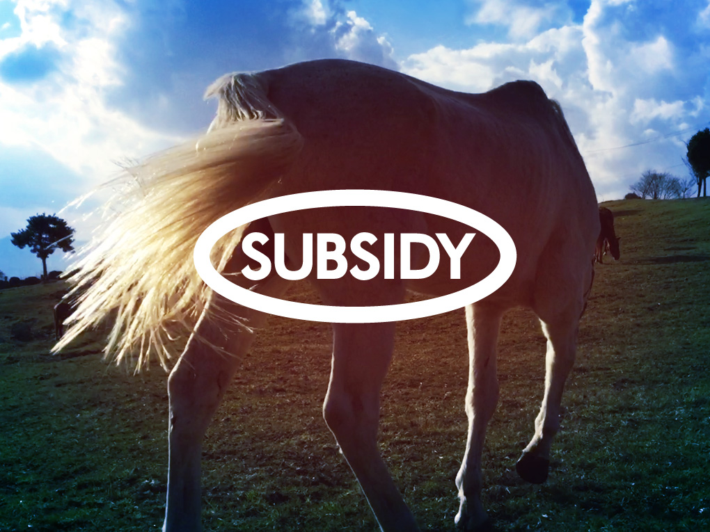 Subsidy Retired Racehorses